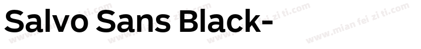 Salvo Sans Black字体转换